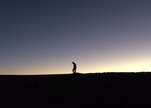 Nostalgia-for-the-light_f_3-550x305