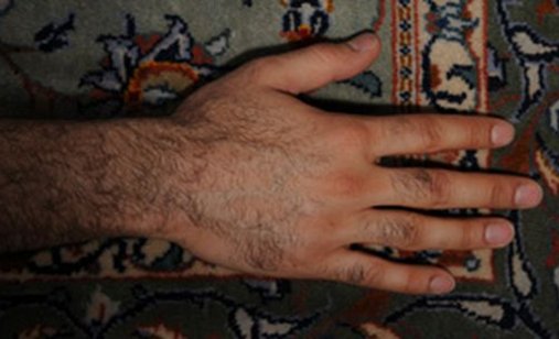Our-persian-rug_f