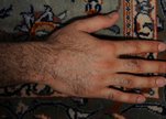 Our-persian-rug_f