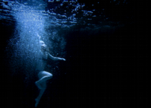 The%20diver%20inside%20me