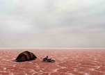 Salt_still