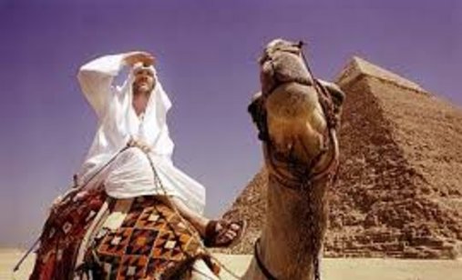 Where_in_the_world_is_osama_bin_laden