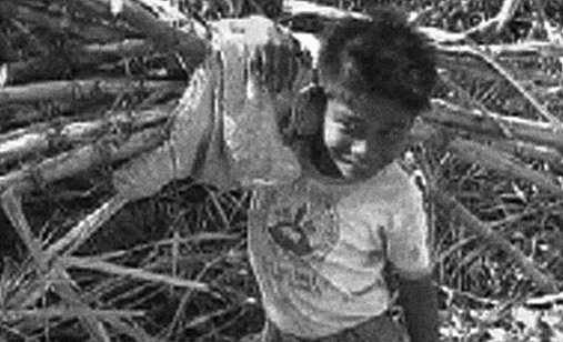 The_philippines