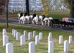 Section_60_arlington_national_cemetery