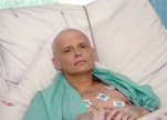 In_memoriam_alexander_litvinenko