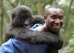 Virunga