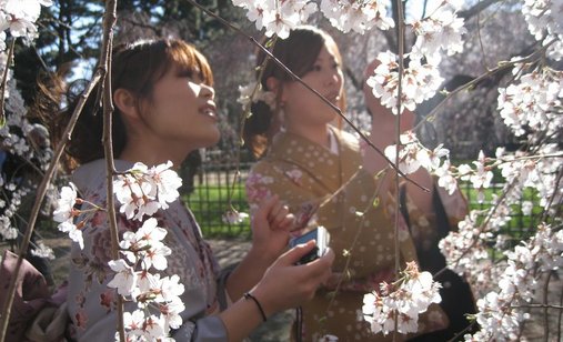 Tsunami_and_the_cherry_blossom_filmstill1_300dpi