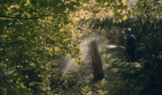 The_silence_of_the_banana_trees