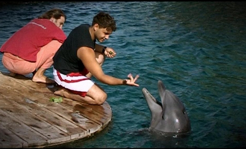 Dolphin%2520boy
