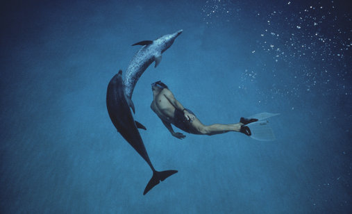 Dolphin-boy%25202