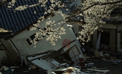 Tsunami_and_the_cherry_blossom_filmstill6
