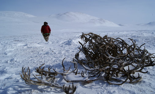 The_tundra_book_001