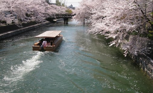 Tsunami_and_the_cherry_blossom_filmstill3_300dpi