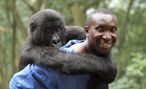 Virunga