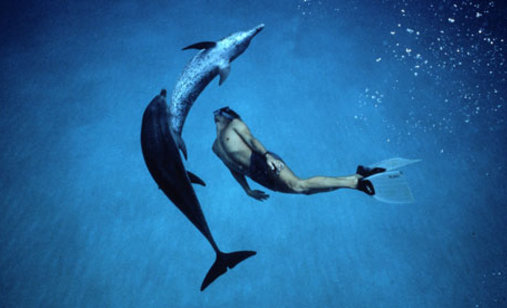 Dolphin_boy