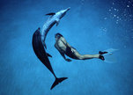 Dolphin_boy