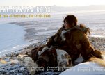 The_tundra_boook