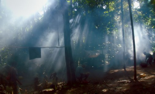 Song-from-the-forest