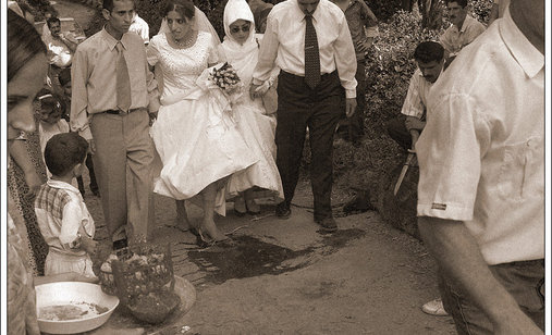 Wedding_a_closet_documentary