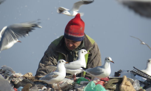 The_landfill_-_photo3