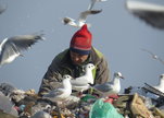 The_landfill_-_photo3
