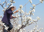 Bio_keyframe157_graded_191009_ss